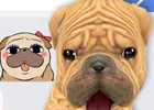 iOS/Android「てのひらワンコ」公式わんこ「ぶるたん」のLINEスタンプが配信