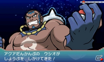 3DS「ポケットモンスター オメガルビー・アルファサファイア」グラードン、カイオーガに秘められた真の力や第三の伝説のポケモン・レックウザを紹介！の画像52