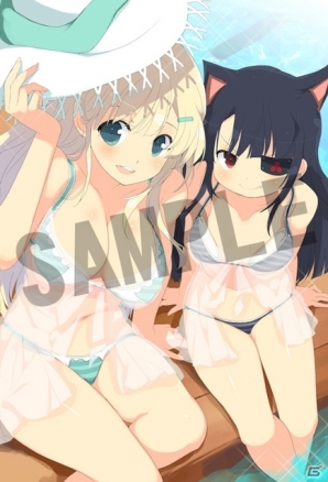 PS Vita「デカ盛り 閃乱カグラ」パッケージ版の店舗別購入特典全11店舗分を公開の画像3