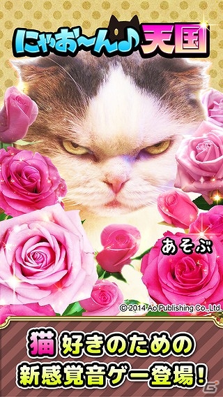 実際の猫の写真と鳴き声を使った音ゲーが登場！iOS「にゃお～ん天国」が配信の画像1
