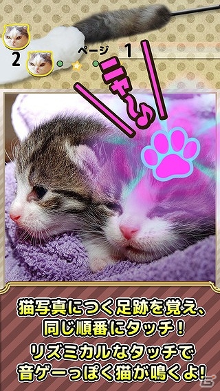 実際の猫の写真と鳴き声を使った音ゲーが登場！iOS「にゃお～ん天国」が配信の画像2