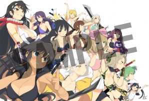 PS4/PS Vita「閃乱カグラ ESTIVAL VERSUS -少女達の選択-」限定版2種のBOXイラスト完成版が公開！限定版アニメ設定画＆主題歌情報もの画像3