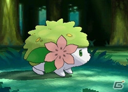「ポケモンスクラップ オメガルビー・アルファサファイア 幻のポケモンたちをもらおう」キャンペーンの実施が決定―対象商品が11月1日より順次発売の画像23