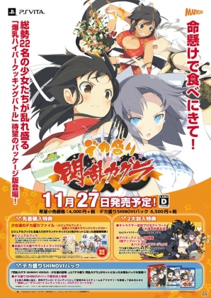 閃乱カグラ　か喜多村英梨　原田ひとみ　直筆サイン入りポスター　当選品 閃乱カグラ か喜多村英梨 原田ひとみ 直筆サイン入りポスター