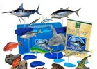Mobage版「釣りっぱ」リアル賞品「日本の海水魚フィギュアボックス」が手に入るイベントが開催！