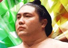 GREE「大相撲カード決戦」ボス力士復活ファン投票の結果が発表―第1位は昭和の大横綱「大鵬」に
