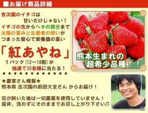 iOS/Android「畑っぴ～里山くらし～」抽選で希少いちご「紅あやね」が当たるイベント開催の画像2