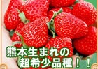 iOS/Android「畑っぴ～里山くらし～」抽選で希少いちご「紅あやね」が当たるイベント開催