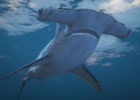 鳥やサメになって大暴れ！PS4/Xbox One/版「グランド・セフト・オートV」27種の動物プレイが新規実装！隠しストリートアートが街中に出現