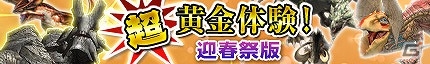 「モンスターハンター フロンティアG」年末年始も一狩りいこうぜ！「メゼポルタ迎春祭」10大イベントが開催の画像3