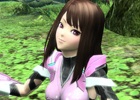 PC/PS Vita「ファンタシースターオンライン2」2014年の人気アイテムをチョイスした「新春！未年アクセサリーセレクト」が登場！