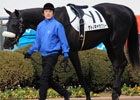 「StarHorse3」の実在命名馬「サトノギャラクシー」が中山競馬場でデビュー！株券「シンボリクリスエス」のプレゼント企画も実施