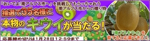 iOS/Android「畑っぴ～里山くらし～」南アルプス市の「キウイフルーツ」が抽選で当たる！「毎月開催！地方都市コラボイベント おいでよ！南アルプス市へ 第五弾」開催の画像2