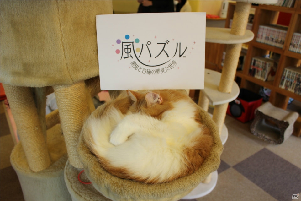 iOS/Android「風パズル 黒猫と白猫の夢見た世界」猫カフェで癒やされました―イベント「風パズルパーティ in 猫カフェ きゃりこ」の模様が到着！の画像1