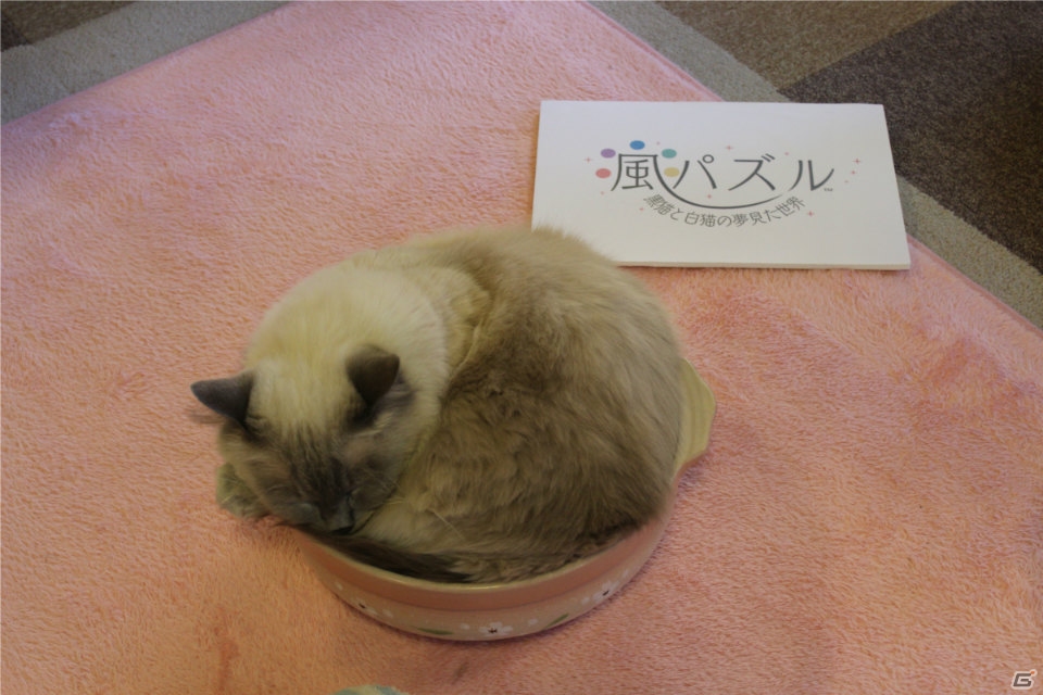iOS/Android「風パズル 黒猫と白猫の夢見た世界」猫カフェで癒やされました―イベント「風パズルパーティ in 猫カフェ きゃりこ」の模様が到着！の画像3