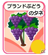パートナーと共同で農園経営が楽しめる「農園婚活」iOS版が配信―スタートダッシュ＆婚活福袋85％OFFキャンペーンが開催！の画像7