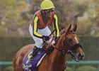 「100万人のWinning Post」「100万人のWinning Post Special」デイリースポーツとのコラボキャンペーン第2弾開催