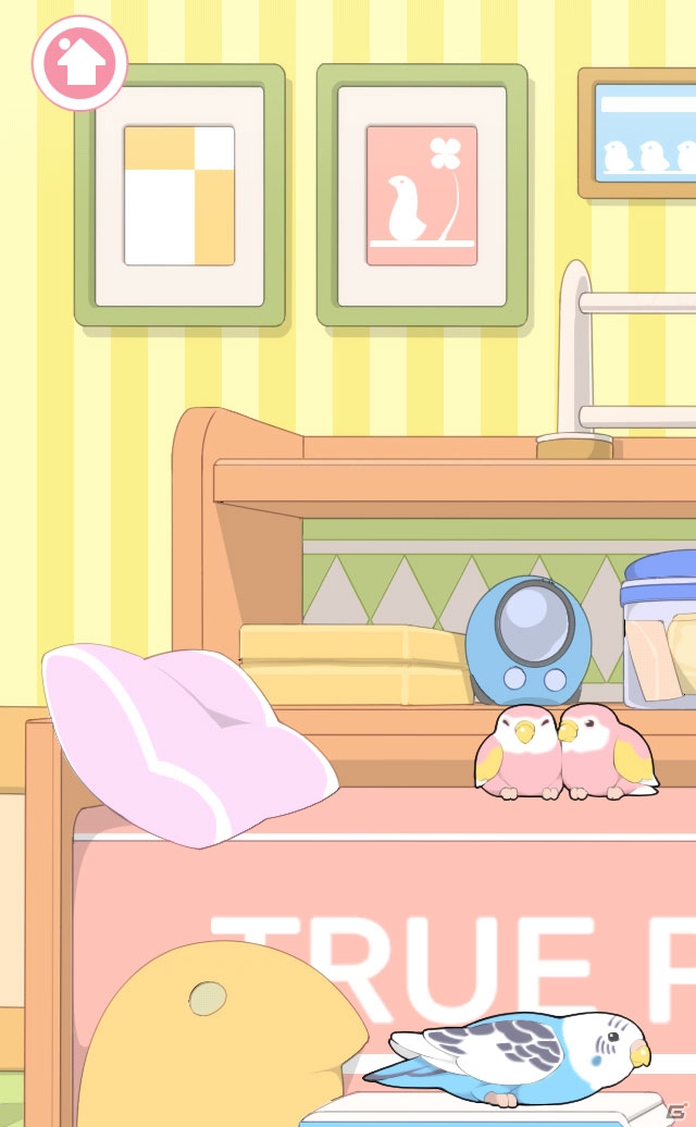 iOS/Android「パロットパズル インコの部屋」を紹介！可愛いインコずくめの癒やし系パズル【ほっとアプリレビュー】の画像12