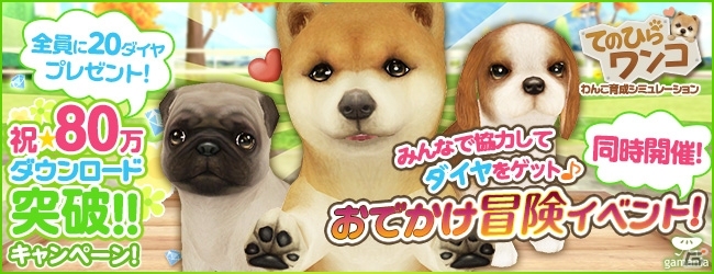 80万DL突破記念！iOS/Android「てのひらワンコ」ダイヤ20個のプレゼントコードを掲載！「お出かけ冒険イベント！」もスタートの画像1