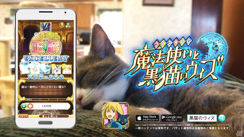 iOS/Android「クイズRPG 魔法使いと黒猫のウィズ」猫たちの愛らしい姿に注目のTVCM「ごめん寝編」＆「起きたら編」が3月5日より放映！の画像1