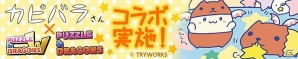iOS/Android「パズル＆ドラゴンズ」「カピバラさん」とのコラボレーションが3月9日より開始！カピバラさんやかわいい仲間たちが登場の画像1