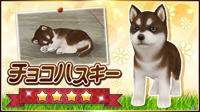 iOS/Android「てのひらワンコ」祝1周年記念キャンペーンが開始―限定わんこが手に入る「イベントガチャ」など目白押しの画像3