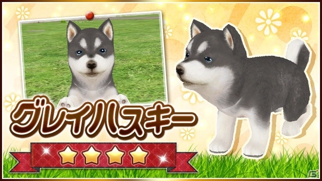 iOS/Android「てのひらワンコ」祝1周年記念キャンペーンが開始―限定わんこが手に入る「イベントガチャ」など目白押しの画像4