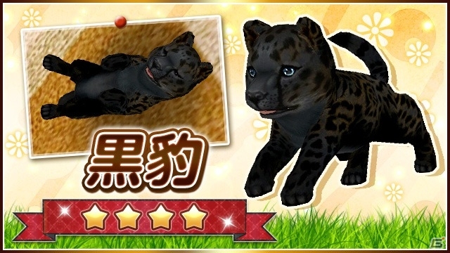 iOS/Android「てのひらワンコ」祝1周年記念キャンペーンが開始―限定わんこが手に入る「イベントガチャ」など目白押しの画像5
