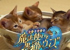 iOS/Android「クイズRPG 魔法使いと黒猫のウィズ」新テレビCM「ねこ鍋編」が3月21日より放映開始