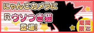 今度は犬耳男子ともふもふ！iOS/Android「猫耳さばいばー！」のスピンオフ「Dog Ear Destroyer」のリリースが決定！？の画像11