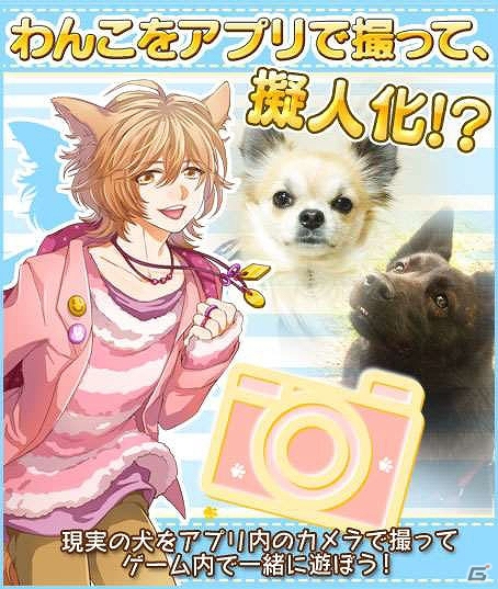 今度は犬耳男子ともふもふ！iOS/Android「猫耳さばいばー！」のスピンオフ「Dog Ear Destroyer」のリリースが決定！？の画像2