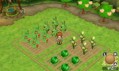 3DS「ポポロクロイス牧場物語」夏の大地・ズズール地方を紹介―ブーメランきゅうりや光スイカなど特殊な作物を栽培！の画像8