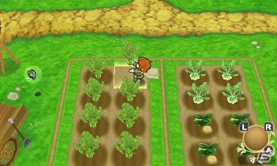 3DS「ポポロクロイス牧場物語」クエスト＆すれちがい通信を紹介―王子を手助けしてくれる女の子たちもピックアップの画像2