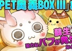 ニコニコアプリ/mixi「メイズミス」強力なペットスキルが当たる「PET奥義BOXIII」が登場！1アカウントで3キャラクターまで作成可能に