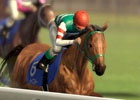 PS3/PS Vita/PC「Winning Post 8 2015」春競馬シーズンを前におさらい！「『Winning Post』とは」＆「新要素」ページが公開