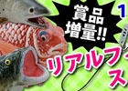 Mobage「釣りっぱ」リアルフィギュアストラップがもらえる「ゴキゲン洋キハダマグロ釣り大会」が開催