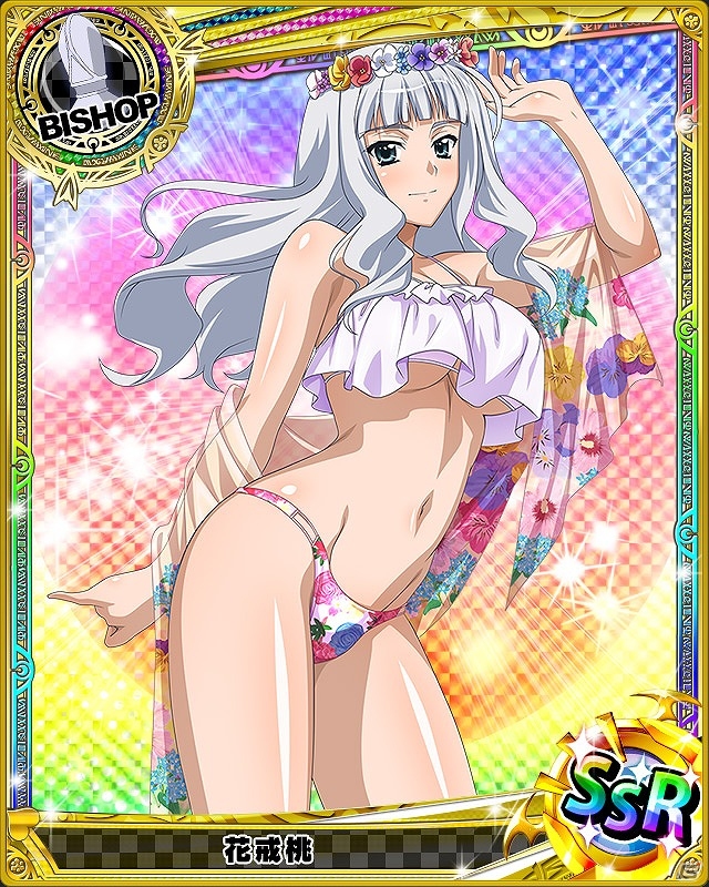 Mobage/GREE/dゲーム「ハイスクールD×D」通常スキルが最大2回発動する新レアリティ“BorN”が登場！キャラクターたちの水着姿が見れるレイドボスイベントも開催の画像10