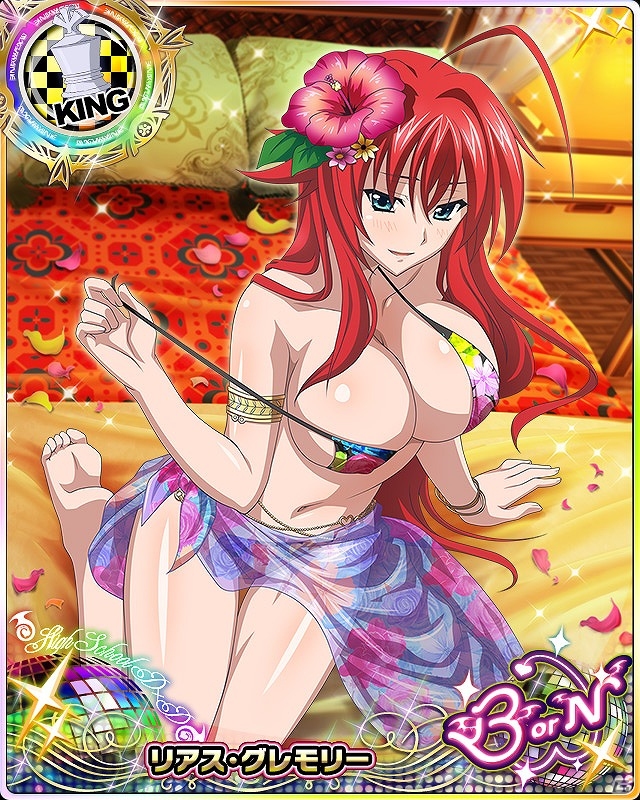 Mobage/GREE/dゲーム「ハイスクールD×D」通常スキルが最大2回発動する新レアリティ“BorN”が登場！キャラクターたちの水着姿が見れるレイドボスイベントも開催の画像3