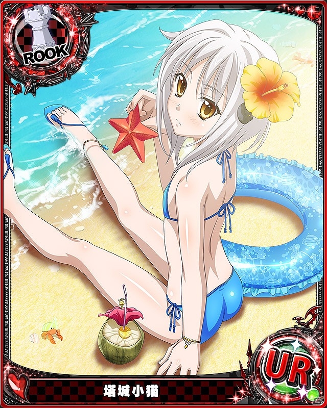Mobage/GREE/dゲーム「ハイスクールD×D」通常スキルが最大2回発動する新レアリティ“BorN”が登場！キャラクターたちの水着姿が見れるレイドボスイベントも開催の画像8