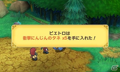 3DS「ポポロクロイス牧場物語」シンプルながらも戦略性が光る「バトルシステム」を紹介！の画像12