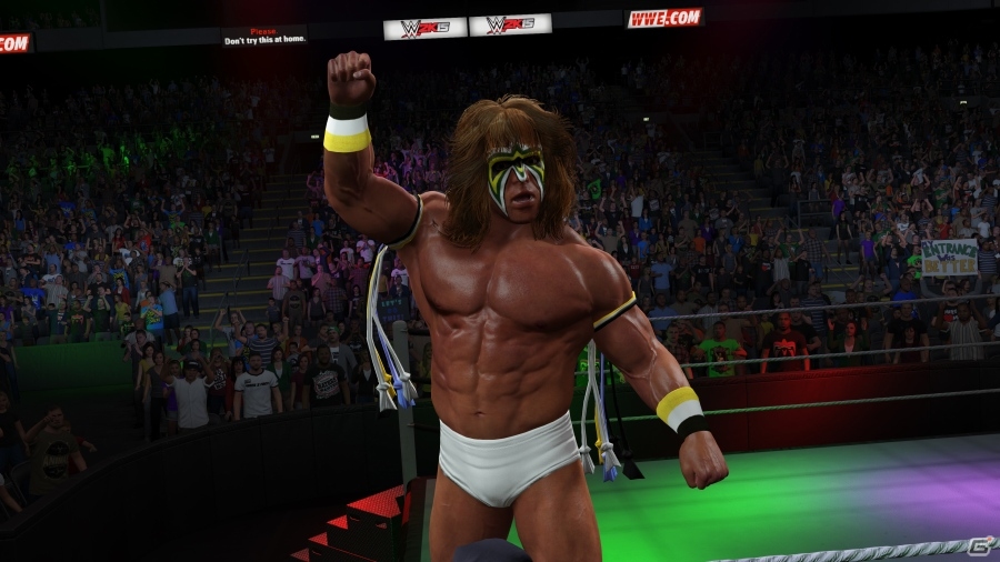 WWEゲームの決定版！PC「WWE 2K15」がSteamにて配信開始―多種多様な無料DLCも随時配信予定の画像13
