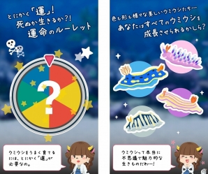 必要なのは運の良さと根気！海の宝石・ウミウシを育てる「ウミウシ研究所」がiOS向けに配信開始の画像1