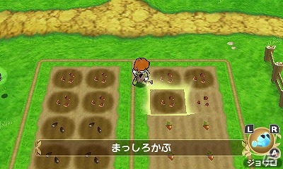 3DS「ポポロクロイス牧場物語」作物や素材を生産して冒険に役立てよう！「作物づくり」＆「動物のお世話」を紹介の画像3