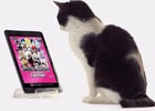 iOS/Android「SHOW BY ROCK!!」関東地域でテレビCMが放送！メロディシアンがもらえる記念キャンペーンも開催