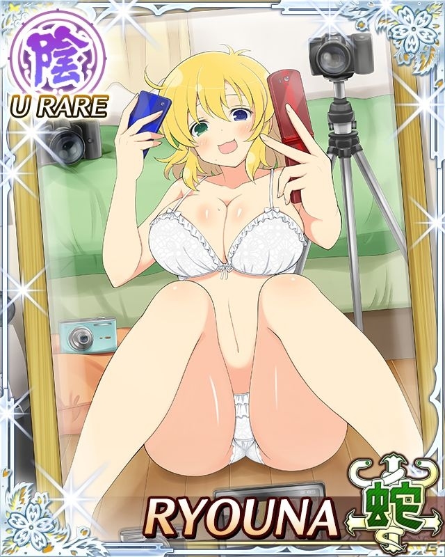 GREE/Mobage「閃乱カグラ NewWave Gバースト」イベント「アクセス数パイプッシュ ブログ向上委員会」が開催の画像6