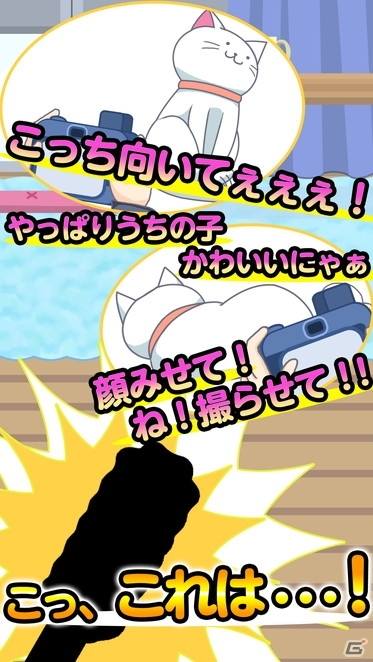 猫じゃらしで気を引いてベストショット！Android「ねこじゃらせぬ！」が配信開始の画像3