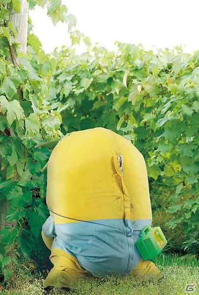 ふなっしーと一緒に過ごす夏休み―弟のふなごろーも初登場！「一番くじ ふなっしー～最も過酷な季節なっしー！～」が7月中旬より販売開始の画像15