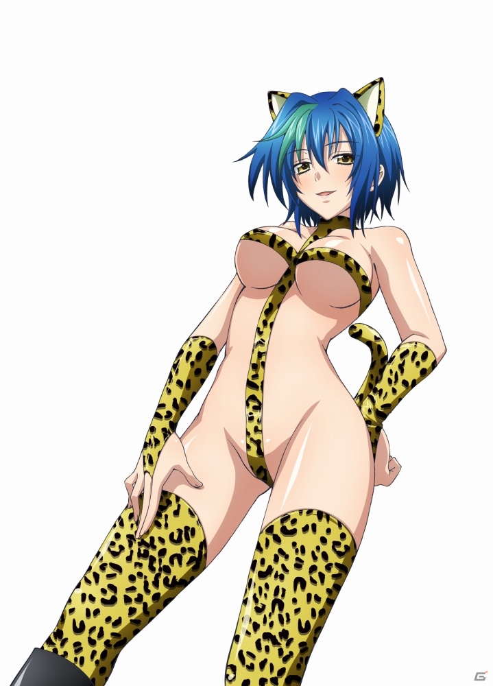 PS Vita「ハイスクールD×D NEW FIGHT」1.45アップデートが配信―北欧のヴァルキリー「ロスヴァイセ」に加隈亜衣さんのボイスが実装の画像10