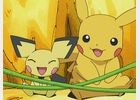 3DS「ポケモン超不思議のダンジョン」の予約がスタート！シリーズの特別アニメーションをYouTubeで一挙公開