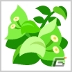 iOS/Android「ちょこっとファーム」夏衣装をまとった動物たちが手に入るイベント「ハッピーサマー南国リゾートへ」が開催の画像3